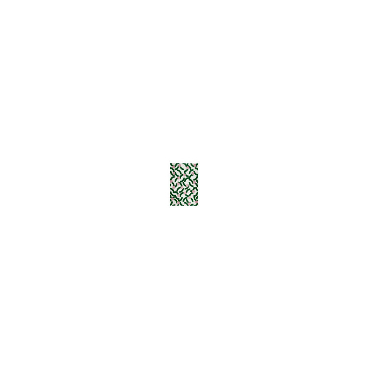 TAPIS LINDEN 200X290CM VERT