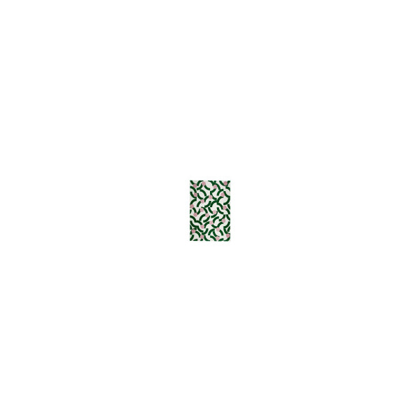 TAPIS LINDEN 200X290CM VERT