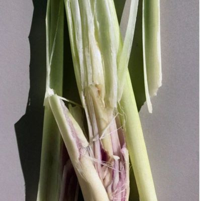 LAIT POUR LE CORPS CITRONELLE 158 240 ML 2