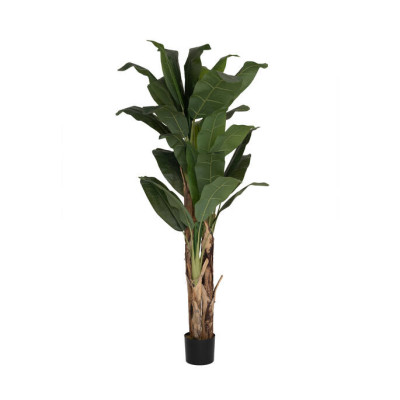 GREEN BANANA TREE L