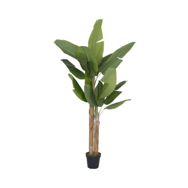 BANANIER XL VERT