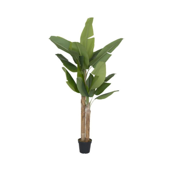 BANANIER XL VERT