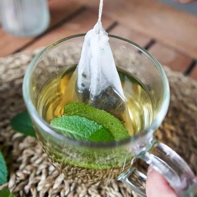 THE VERT MENTHE HOSPITALITE 80G 2