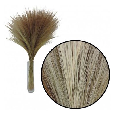 BARBA SECHE NATUREL 200G