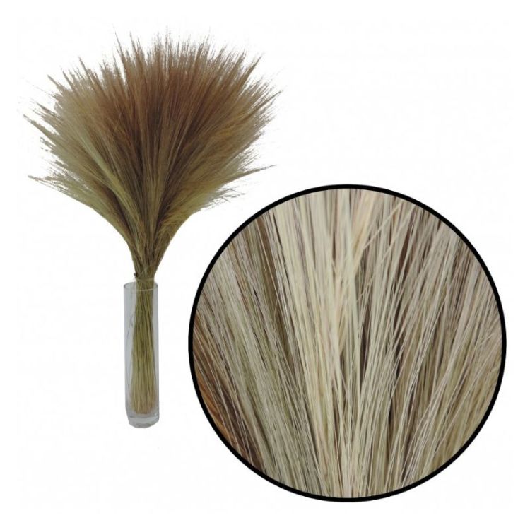BOTTE DE BARBA SECHE NATUREL 200G