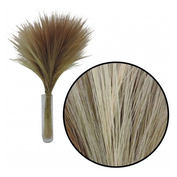 BOTTE DE BARBA SECHE NATUREL 200G