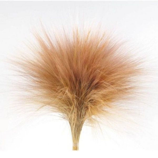 BOTTE DE BARBA SECHE NATUREL 200G