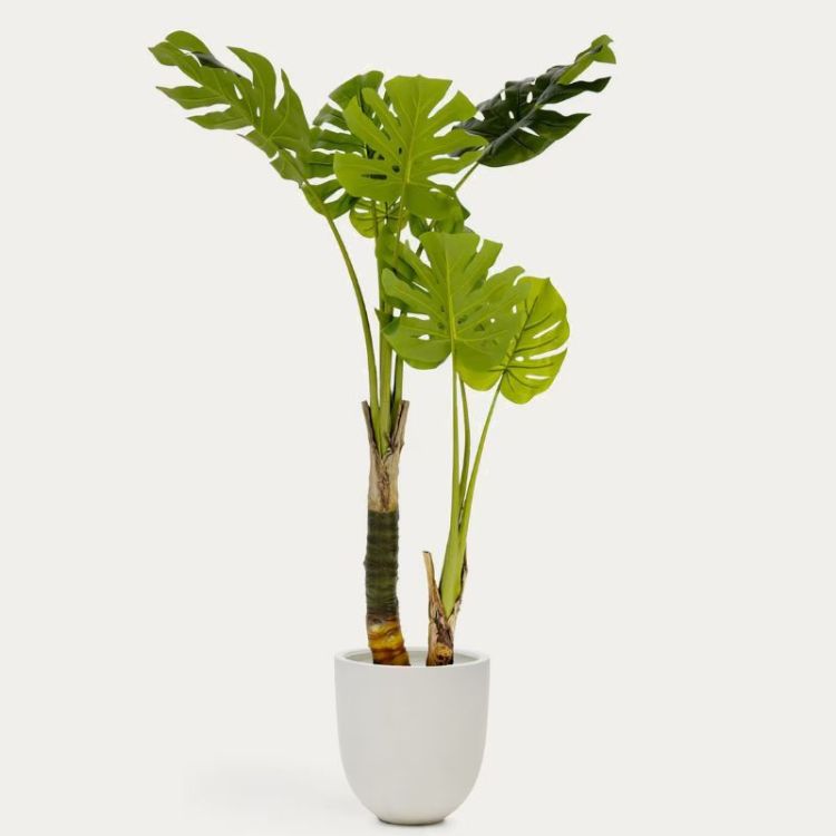 PLANTA DE FILODENDRO ARTIFICIAL DE 130 CM