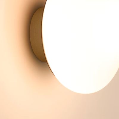 APPLIQUE BAMILA EN VERRE FUME ET NICKEL D15CM 2