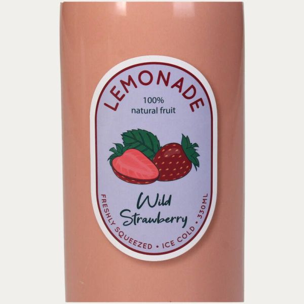 VASE BOUTEILLE LIMONADE FRAISE FAIENCE FINE