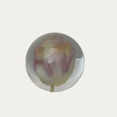 BOULE DE CRISTAL TULIPE
