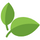 Etiquetas : Produtos naturais